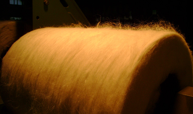 Malegaon Spinning Mills